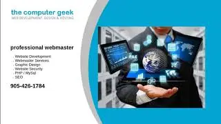 professional webmaster