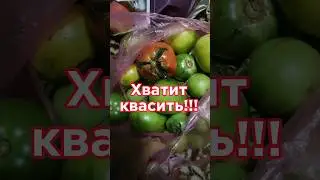 Аджика из зеленых помидор