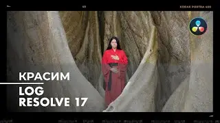 Цветокоррекция LOG в DaVinci Resolve