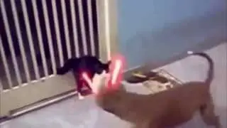 ;)