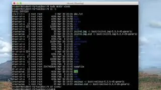 Ubuntu 18.04 : Basic Ubuntu Commands for Beginner