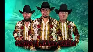 Corrido De Orlando Aguilera (Puro Linaca) - Lizama