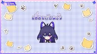 【 🔴กองแง้ววว 】แมวเรื่อยเปื่อยยยยยยย┌(。Д。)┐
