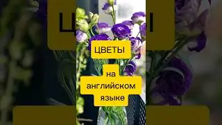 Названия ЦВЕТОЧКОВ на английском #shorts #английский