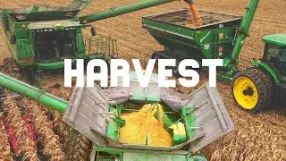 Michigan Corn Harvest 2018 | Grain Cart on the Farm