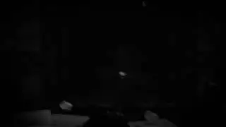 Fnaf recopiliation chica manglee y golden freddy sexy jumpscare