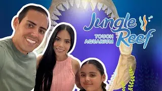 El Nuevo Aquario Jungle Reef en el El Paso Texas