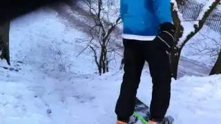 Snowboarding Ashfield Park Ralph/Rob/MDUNZ