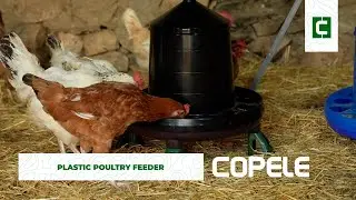 Plastic Poultry Feeder | Copele
