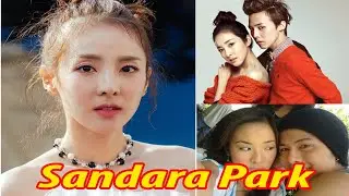 Facts About Sandara Park: Biography; Family; Boyfriend; Career and More