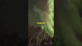 What If Earth Stopped Spinning? 🌍 The Shocking Truth!