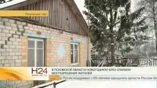 Мэр города Острова бегает от журналистов из-за краденой елки.