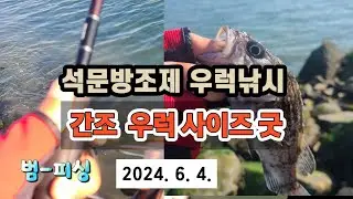 석문방조제 우럭낚시 간조에 우럭 사이즈 굿~