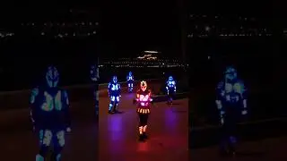 хищники света танцуют тик ток тренды
