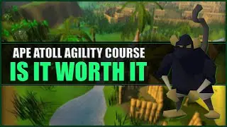 Actual XP Rates For Ape Atoll Agility Course in OSRS