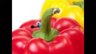 Paprika & Puppet