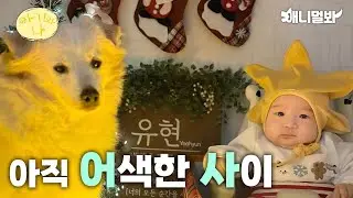 태어나보니 가족이 10살 강아지인 아기(친해지길 바라..프로젝트)ㅣWhen You Have 10 Years Old Dog Sibling