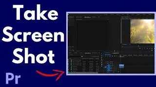 How to Take Screenshot in Premiere Pro CC I 