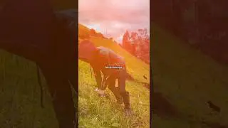El tiempo me a enseñado a cambiar 🙇‍♂️✅