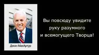 Вы повсюду увидите руку разумного и всемогущего Творца!
