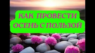 КАК ПРОВЕСТИ ОСЕНЬ С ПОЛЬЗОЙ