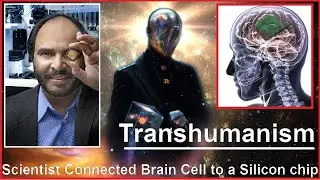 Towards Transhumanism | Pakistani Scientist Successfully Connected Brain Cells to A Silicon Chip