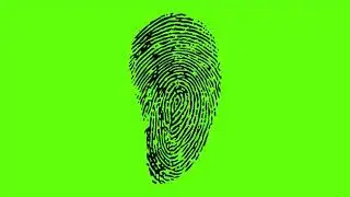 FINGERPRINTS | GREEN SCREEN EFFECT VIDEO