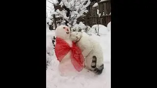 Скоро , скоро НОВЫЙ ГОД !