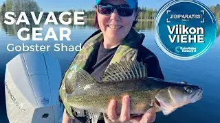 Savage Gear Gobster Shad | Viikon viehe