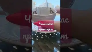важные дела #никкиами #никкиамицыганскиегадания