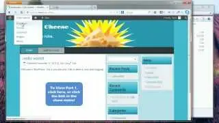 Edit and Create Pages and Posts in WordPress -- Part 2