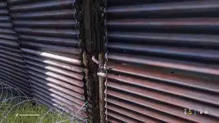 Dayz with the bois