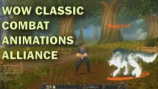 WOW CLASSIC Alliance Combat Animations (Melee combat 1 hand, 2 hand and ranged & Casting Animation)
