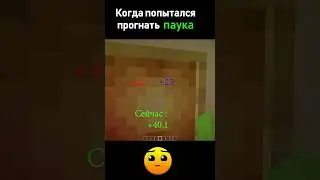 😱Когда попытался прогнать паука #Shorts #minecraft #майнкрафт #trending #viral #meme #funny #fyp