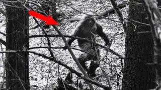 9 СТРАШНЫХ СУЩЕСТВ И ПРИЗРАКОВ СНЯТЫХ НА КАМЕРУ