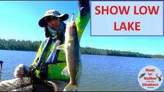 SHOW LOW LAKE FISHING - Walleye - Bass - Best way to catch Walleye at Show Low Lake! - FISH & CHIPS!