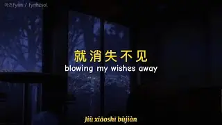 Zhang Miaoge (张妙格) - 我期待的不是雪 (Wǒ qídài de bùshì xuě) Lyrics [Chn, Eng, Pinyin] Translation