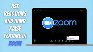 How to Use Zoom Reactions and Raise Hand Features
