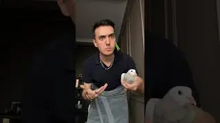 Мы открываем бизнес – Мы будем делать бабки! 😂