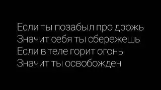Shami - Белые птицы ТЕКСТ