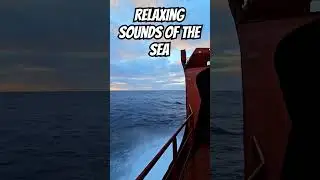 Relaxing Sound of the Sea 