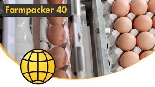 Packing of eggs - Farmpacker 40 - 14.400 eggs/hour (40 cases/hour)