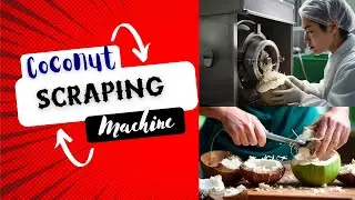Coconut Scraping Machine||Innovative Mechanical Design for Efficient Coconut Processing