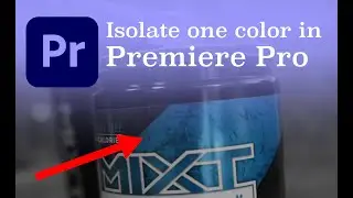 Remove All But One Color in Adobe Premiere Pro