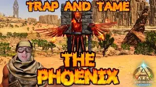 How to TRAP & TAME the Phoenix | Ark Survival Ascended