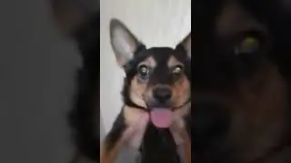 жизнь моя