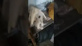 скворечники своими руками
