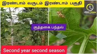 இரண்டாம் வருடம் இரண்டாம் பகுதி Second year second season