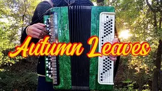 Autumn Leaves (accordion cover)