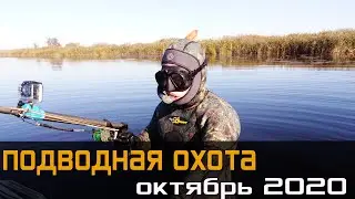 Подводная охота в заливах Ижа. Октябрь 2020г